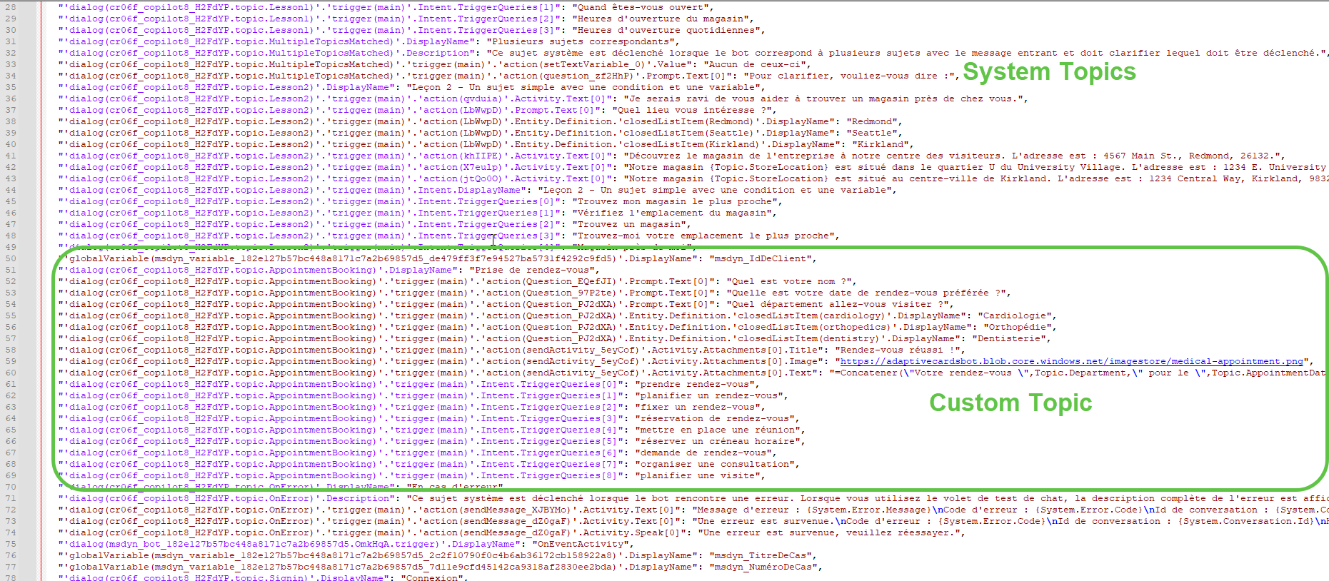 Translated JSON File